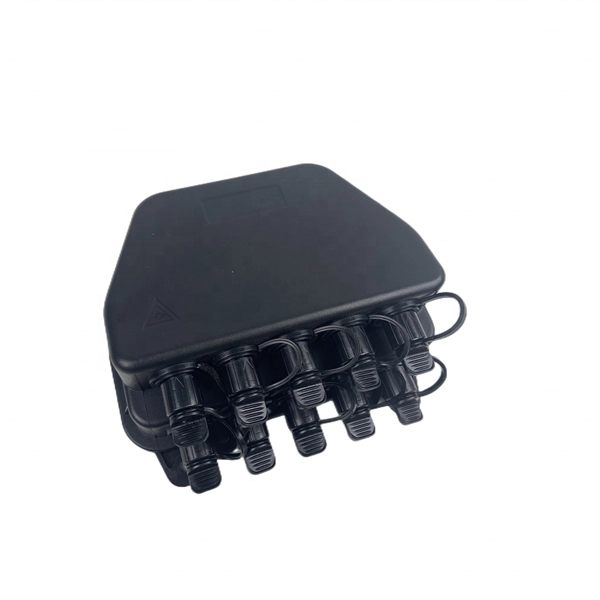 10 Gigabit Passive Optical Network
